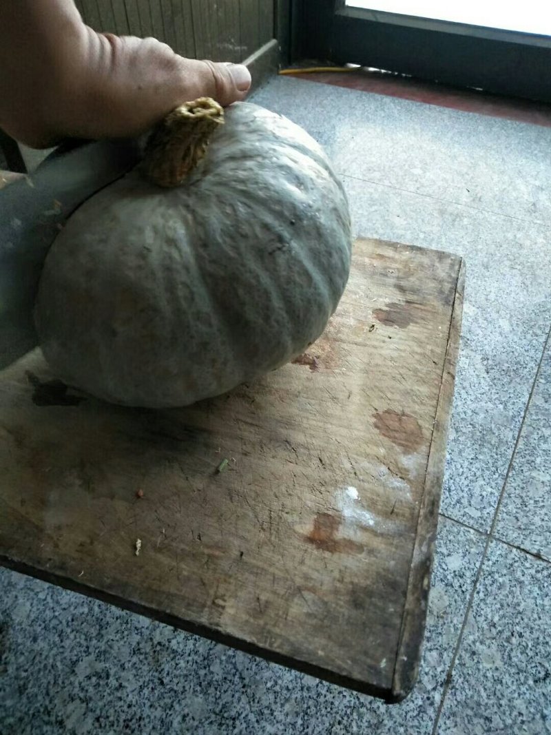 南瓜