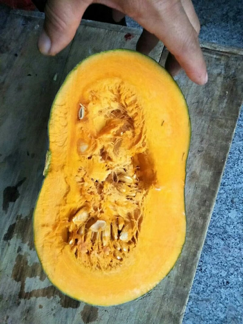南瓜