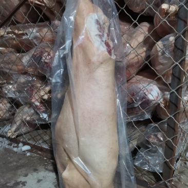长年批发零售，大羊褪毛白条，照片实物拍摄质量保证