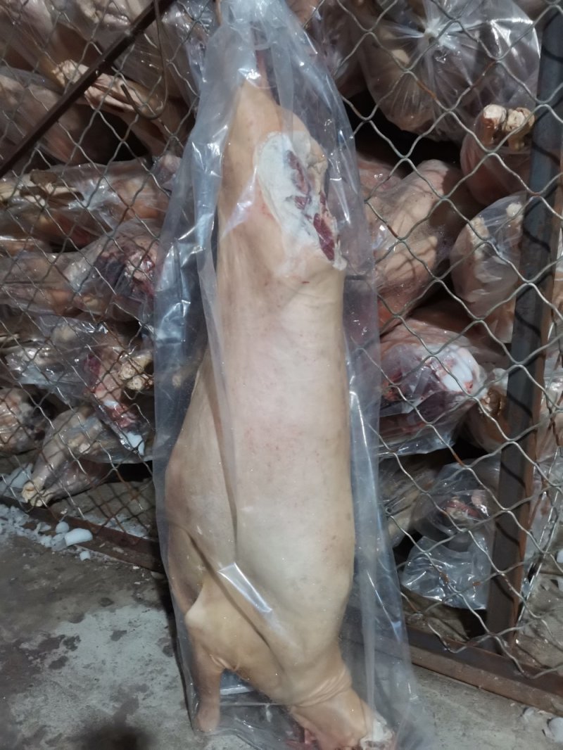 长年批发零售，大羊褪毛白条，照片实物拍摄质量保证