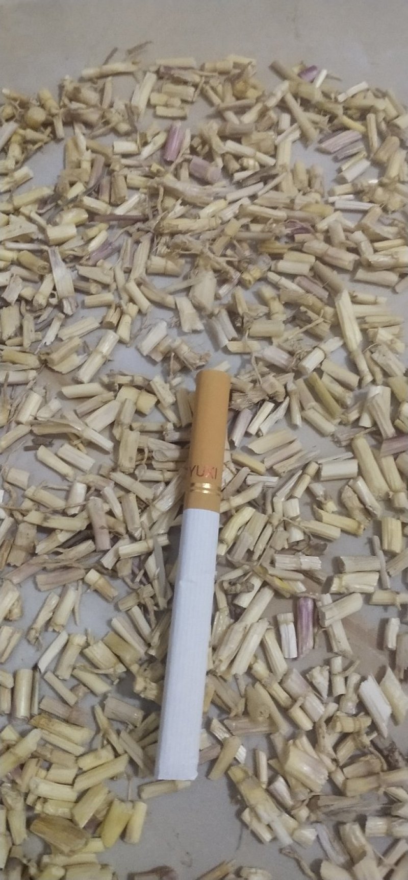 白茅根
