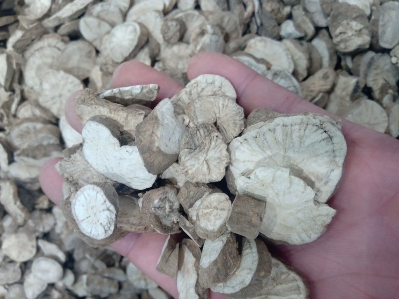粉防己1公斤起批不包邮量大电议欢迎咨询各种中药材