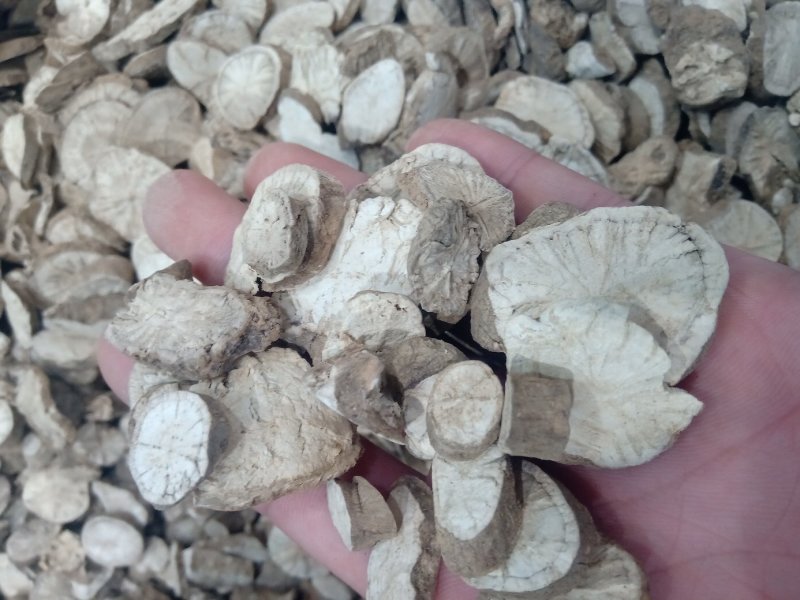 粉防己1公斤起批不包邮量大电议欢迎咨询各种中药材