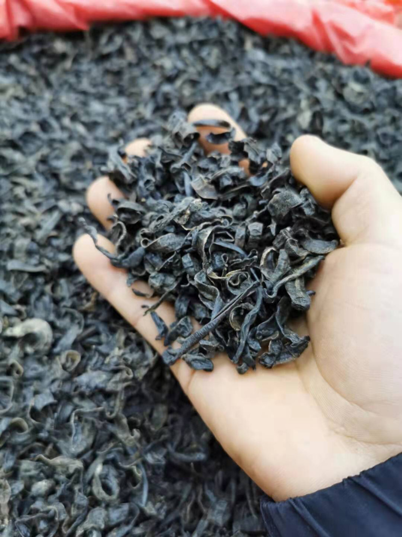 中药材清水吊杆野生水蛭水蛭干