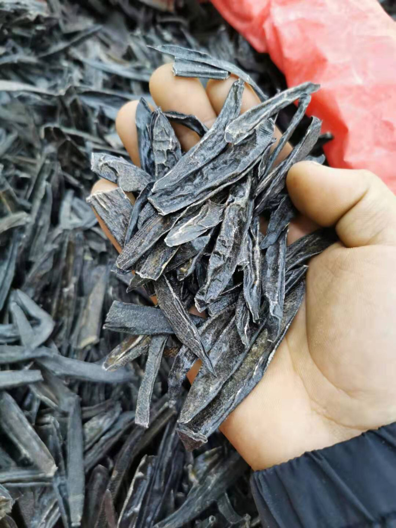 中药材清水吊杆野生水蛭水蛭干