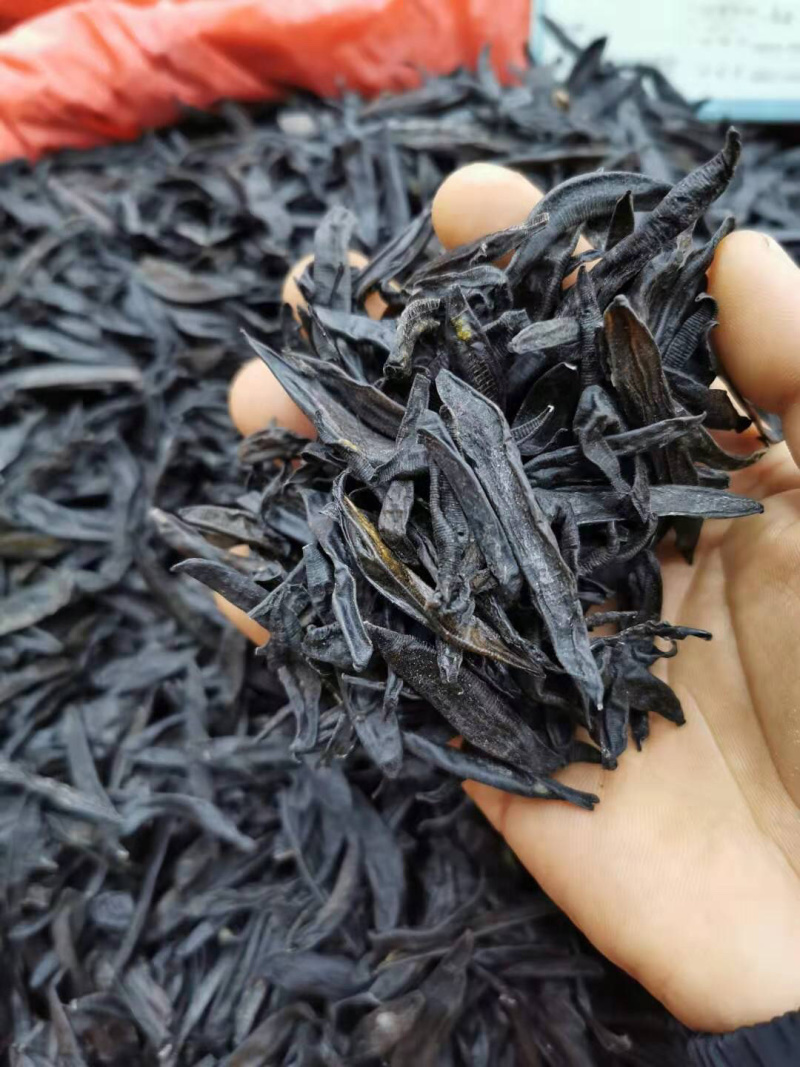 中药材清水吊杆野生水蛭水蛭干