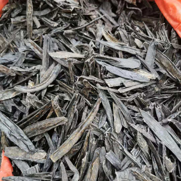 中药材清水吊杆野生水蛭水蛭干
