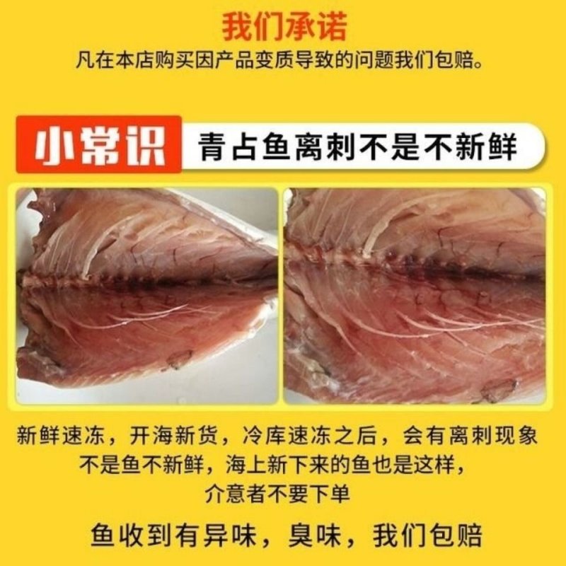 新鲜冷冻青条鱼青占鱼鲅鱼一箱20斤左右饭店食堂快餐食材【
