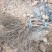 巨峰葡萄苗昌黎葡萄苗基地直发保证质量包成活
