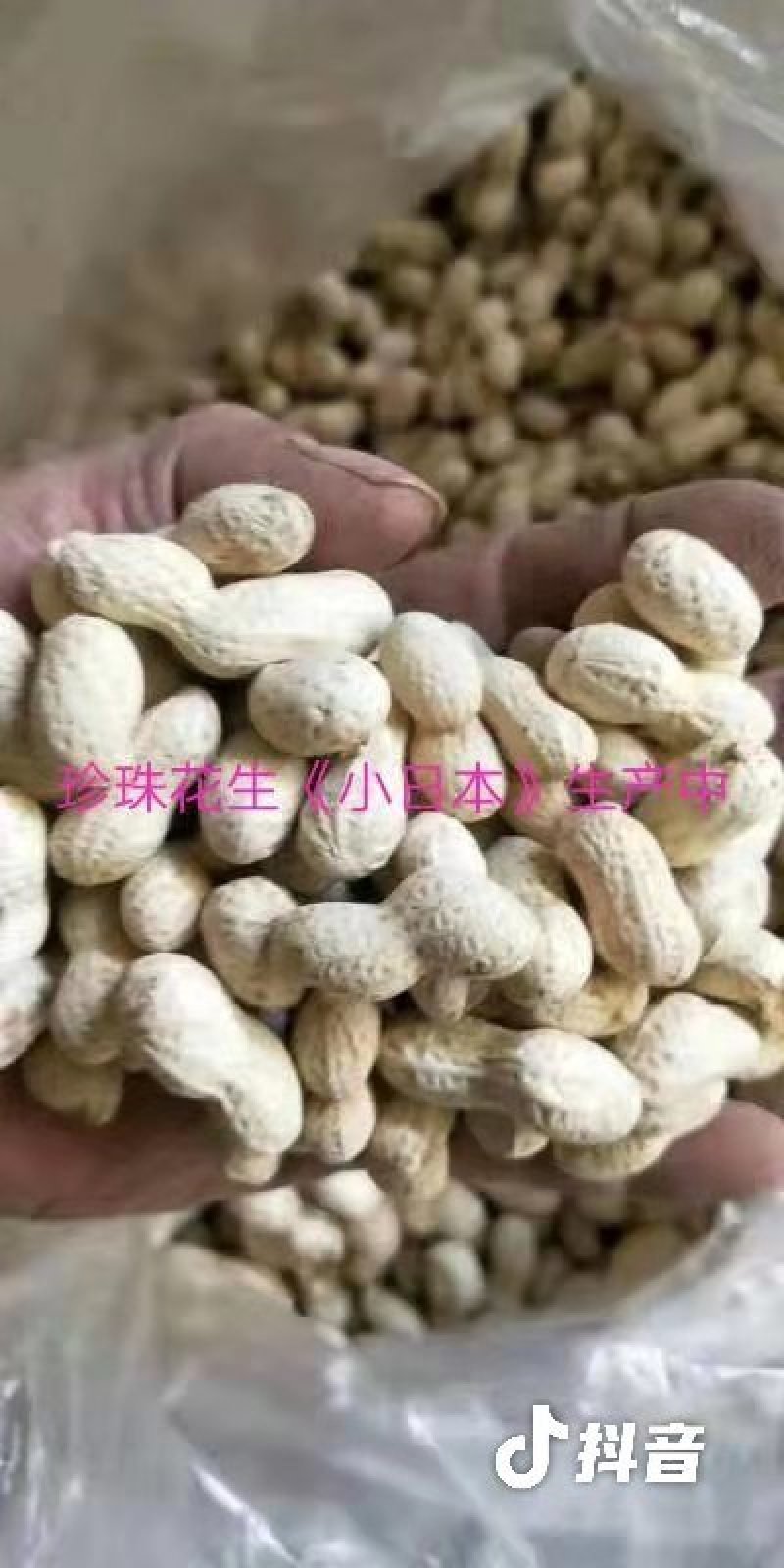新天府3号炒花生