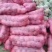 虞城红富士苹果大量上市，有充足货源供应，需要联系，坏果包