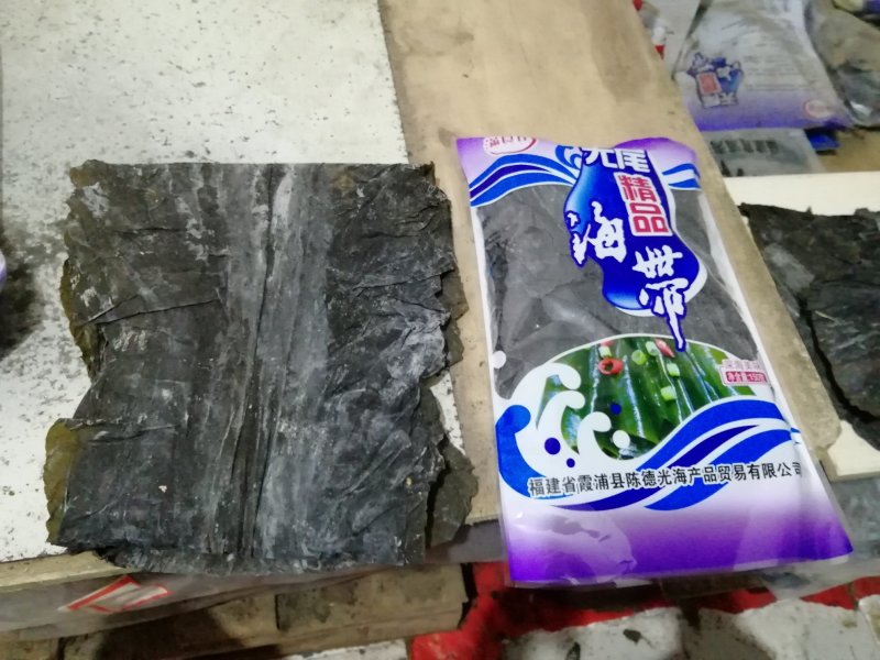福建海带