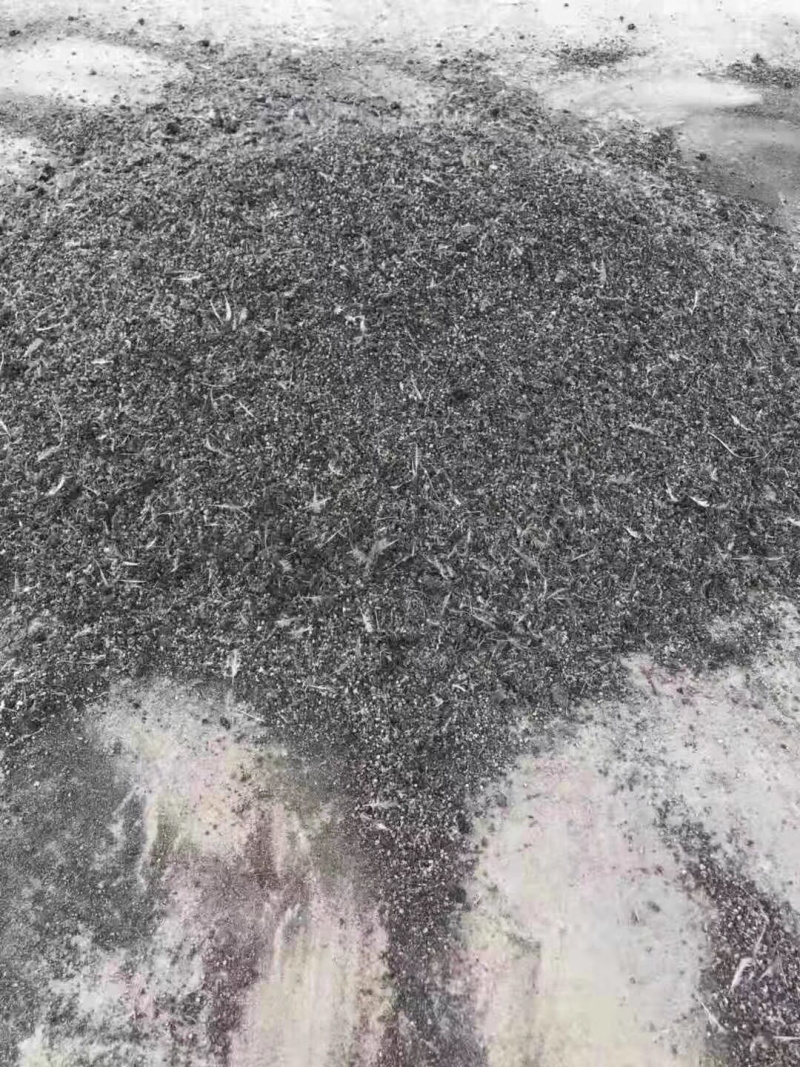 鹌鹑粪