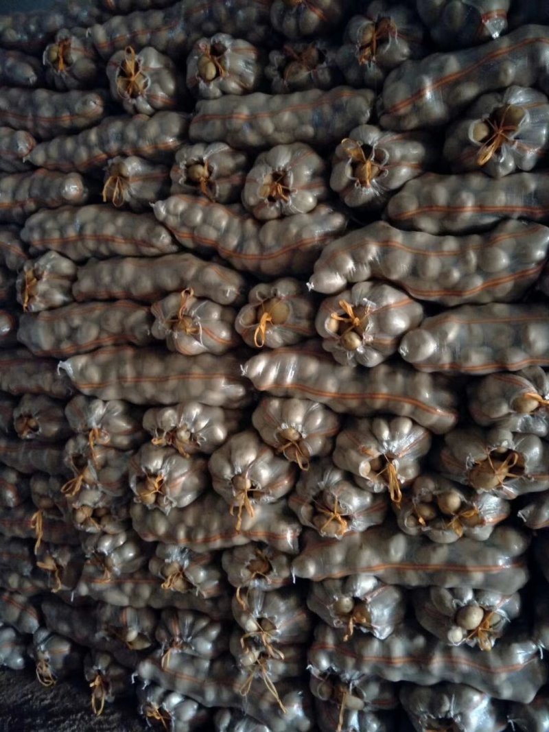 丽薯土豆产地直销支持视频看货可打冷量大优惠，欢迎选购