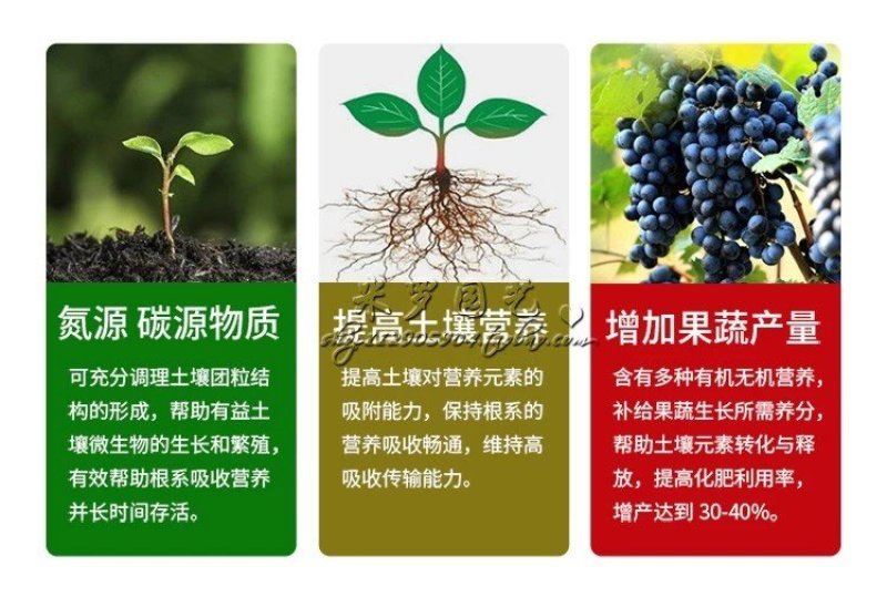 生根壮苗，以色列雅翠凯普乐生根肥5-7天生根，特种肥料
