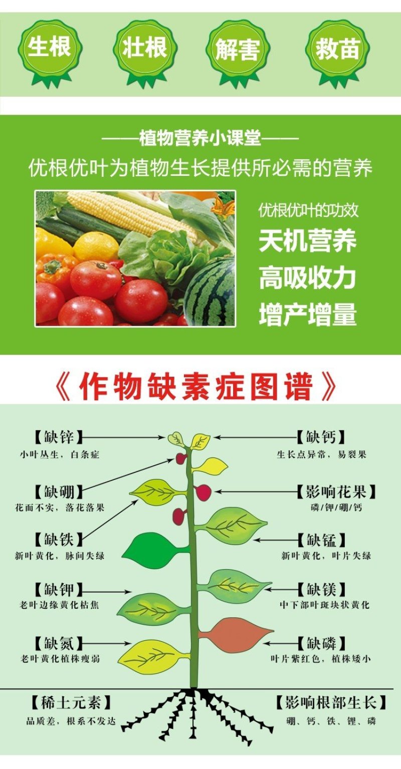 生根壮苗，以色列雅翠凯普乐生根肥5-7天生根，特种肥料