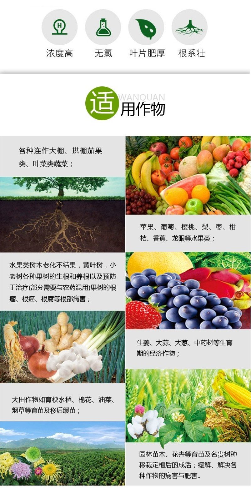 生根壮苗，以色列雅翠凯普乐生根肥5-7天生根，特种肥料