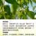 糖醇硼，以色列雅翠凯普乐单一元素糖醇硼三个规格厂家直发