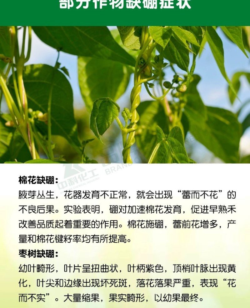糖醇硼，以色列雅翠凯普乐单一元素糖醇硼三个规格厂家直发