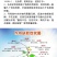 糖醇硼，以色列雅翠凯普乐单一元素糖醇硼三个规格厂家直发