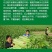 糖醇硼，以色列雅翠凯普乐单一元素糖醇硼三个规格厂家直发