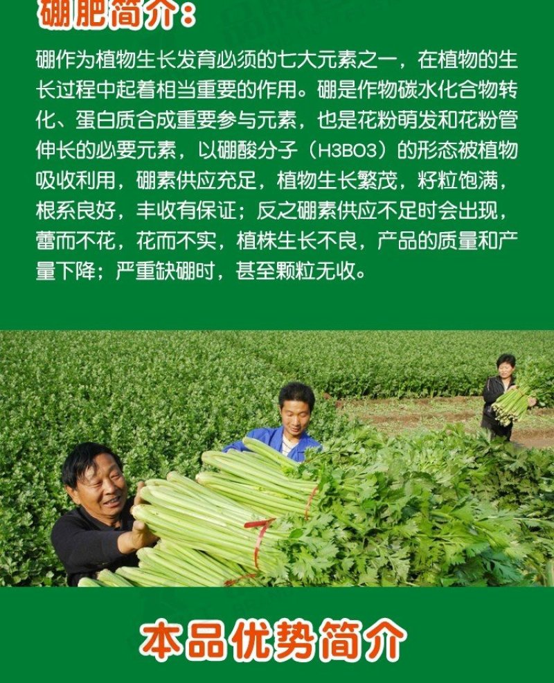 糖醇硼，以色列雅翠凯普乐单一元素糖醇硼三个规格厂家直发