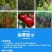 【厂家直发】磷酸二氢钾，复合肥，二元复合肥，三个规格！