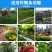 【厂家直发】磷酸二氢钾，复合肥，二元复合肥，三个规格！