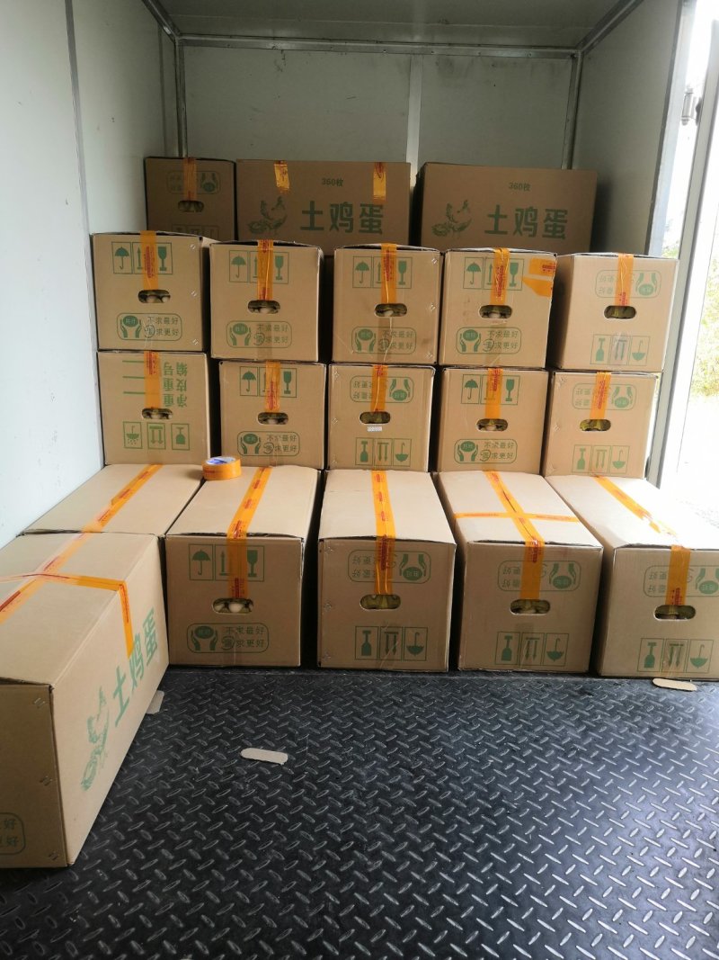 霍邱荣达一号白凤大午金凤海兰灰新阳黑花凤农五