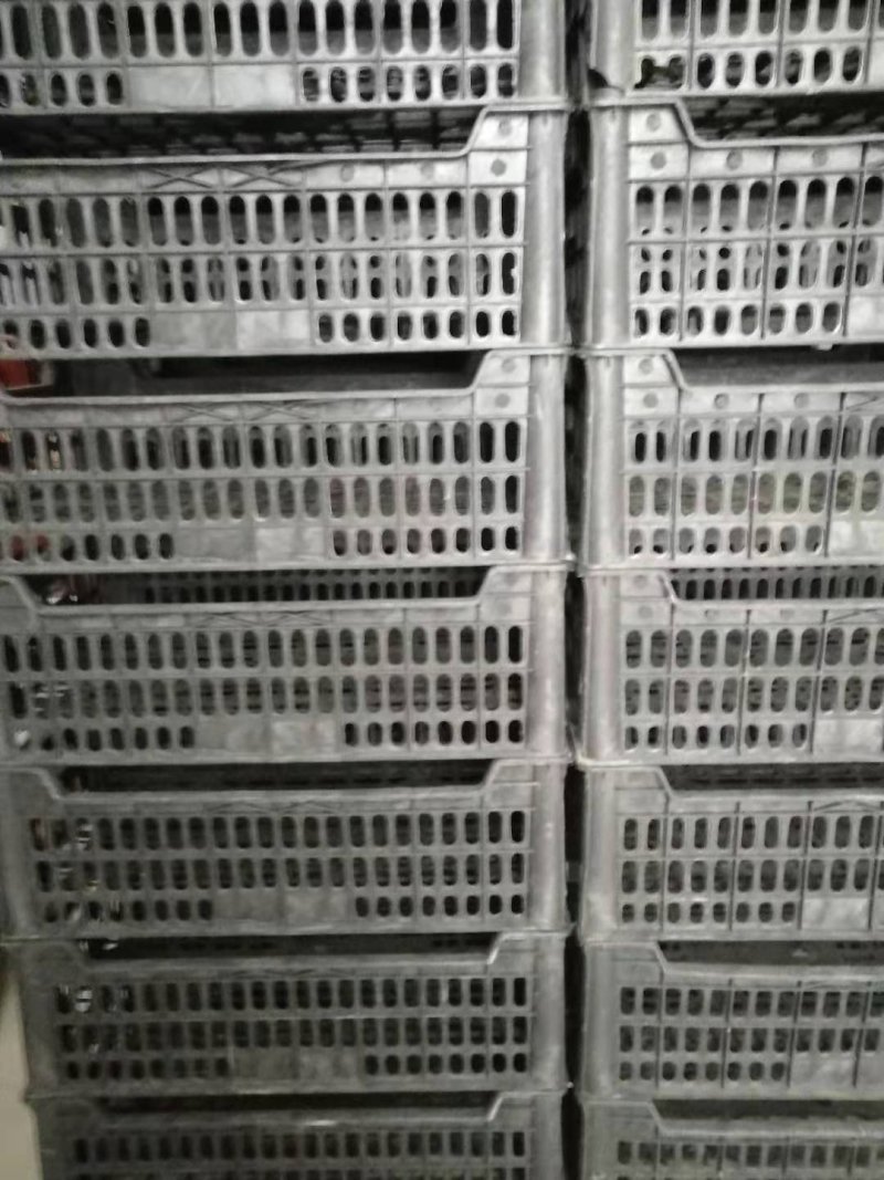 塑料框葡萄桃平菇用框