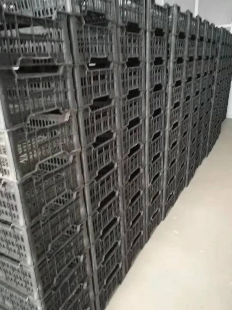塑料框葡萄桃平菇用框