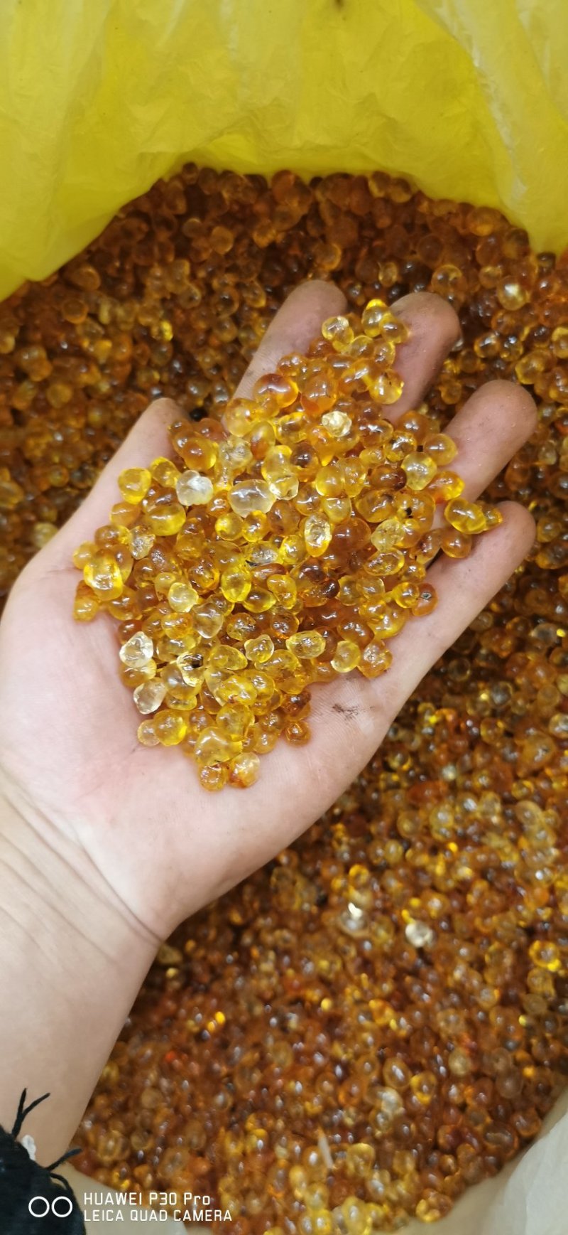 高品质无杂质桃胶金黄桃胶2斤包邮。长期批发
