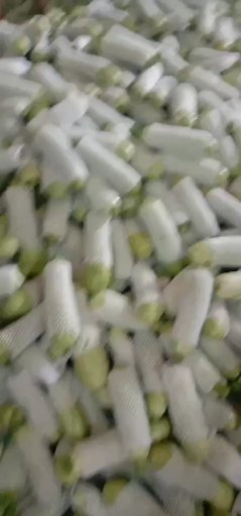 精品价格美丽