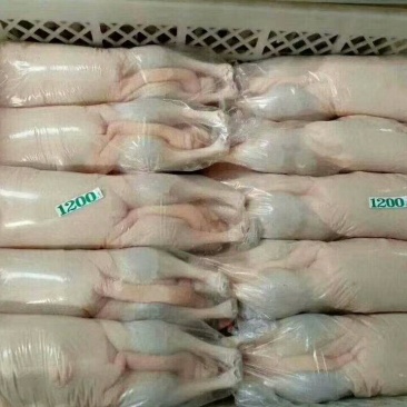 你好