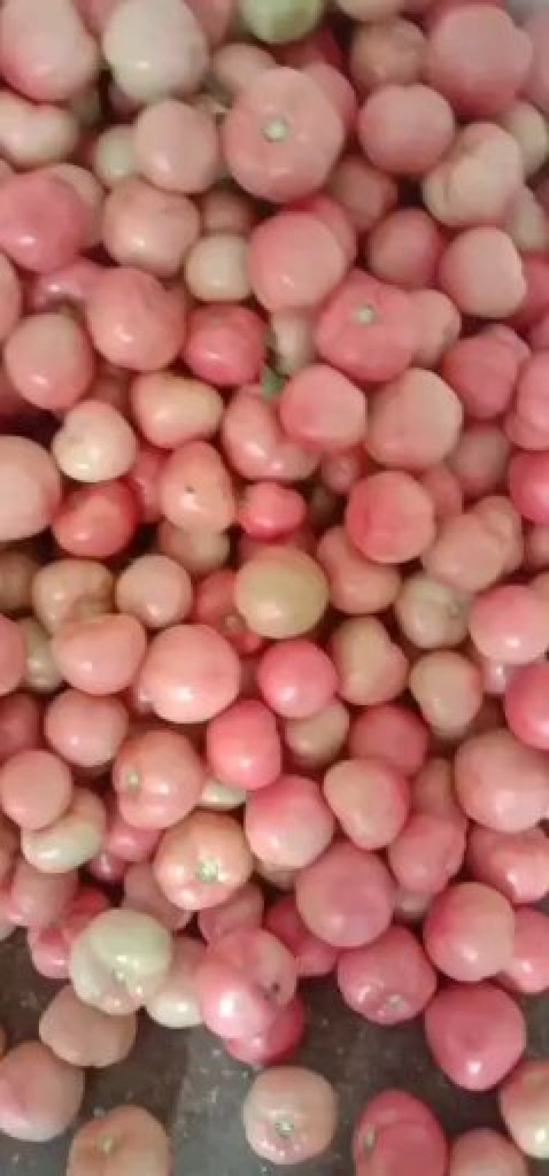 美丽价格