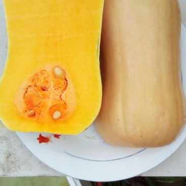 汉娜奶油南瓜