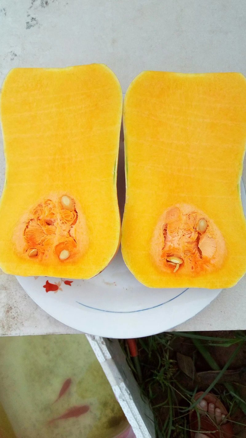汉娜奶油南瓜