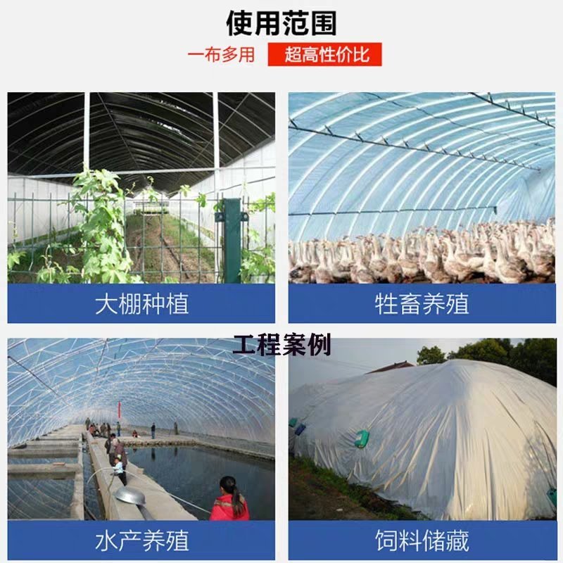 进口黑白养鸡养殖大棚膜隔热反光降温青储防水大棚膜食用菌菇