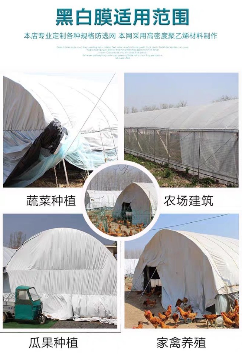 韩国进口抗老化黑白膜养植大棚膜