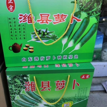 潍坊青萝卜，瓜茬萝卜，诚信合作供应商超市场