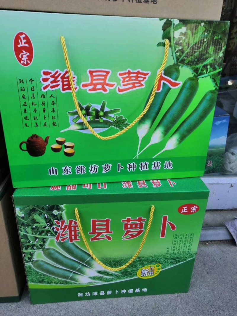 潍坊青萝卜，瓜茬萝卜，诚信合作供应商超市场