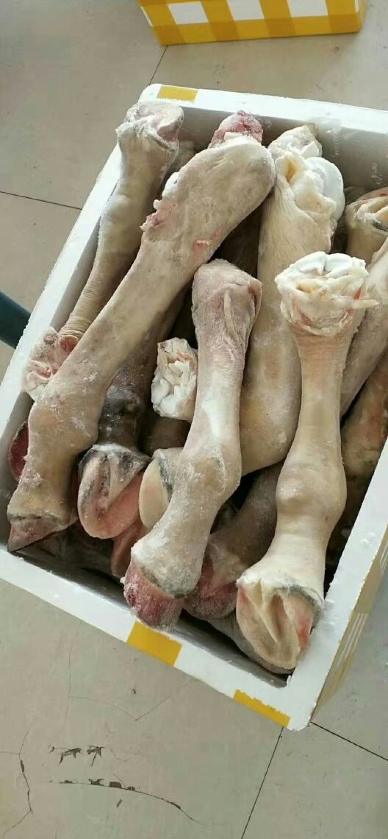 驴蹄新鲜干净质量好颜色好