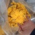 徽州金丝菊