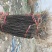 花椒苗无刺大红袍狮子头量大优惠根系发达保成活