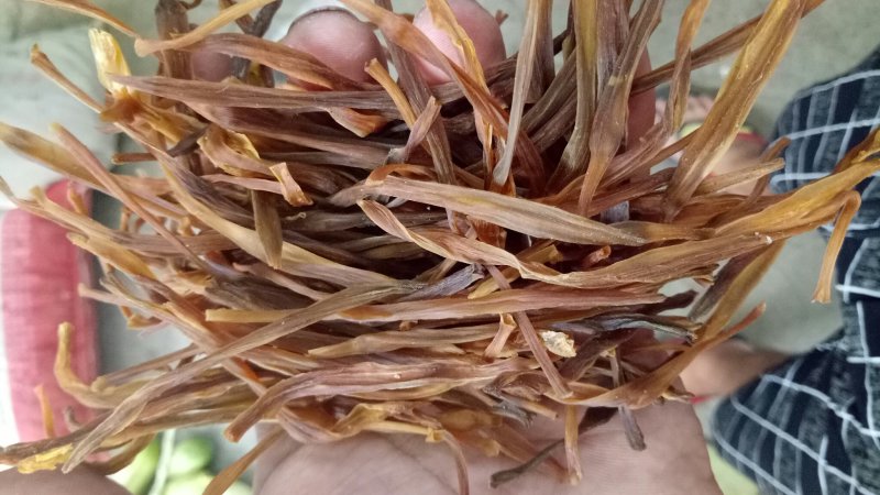 农家熟条黄花菜，手工挑拣，无任何添加，质量保证