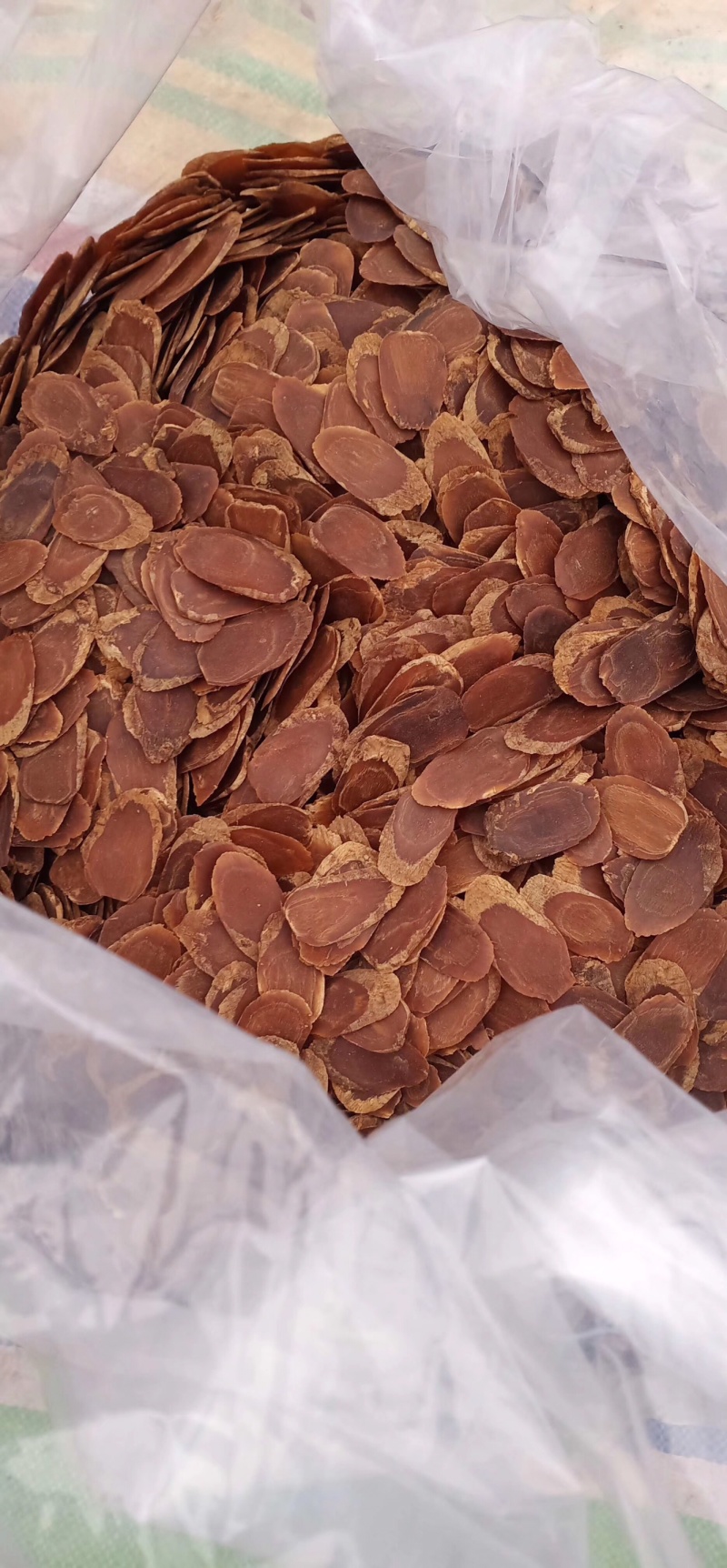 【有好货】丽钧参行有糖红参片