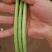 豆角种子翠绿色豇豆种
