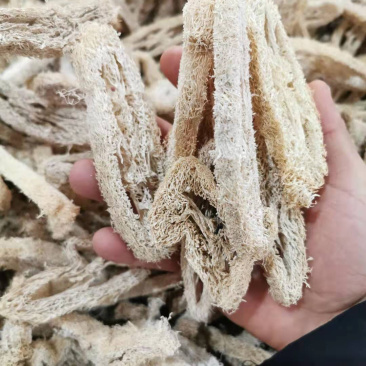 中药材丝瓜络食用天然茶正品药用下奶通乳