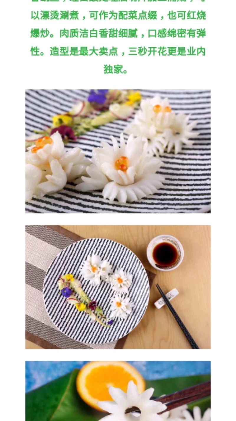 樱花鱿