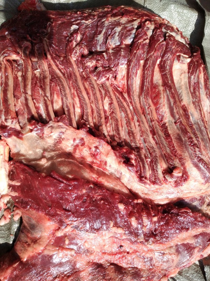 驴肉，肋条，现杀嫩口精修带皮、去皮驴肋条肉